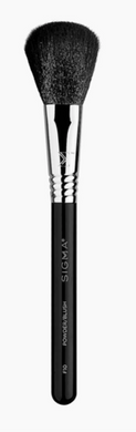 Sigma Beauty F10 Powder/Blush Brush